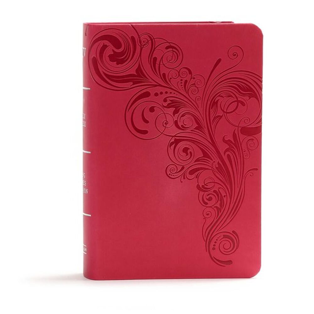 KJV Large Print Compact Reference Bible, Pink Leathertouch -- Holman Bible Publi